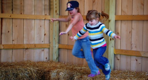 Jumping in the hay at Stokoe Farms